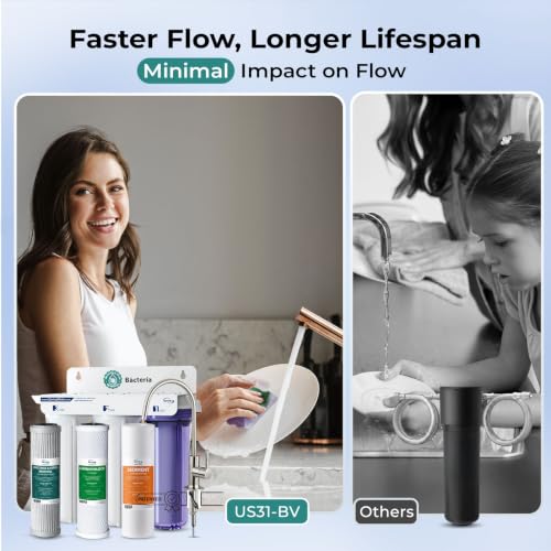 US31-BV 3-Stage Under Sink Water Filter System with Faucet, 1 Year