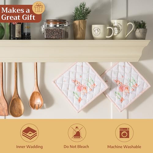 Pot Holders 100% Cotton Potholders (2 Count)