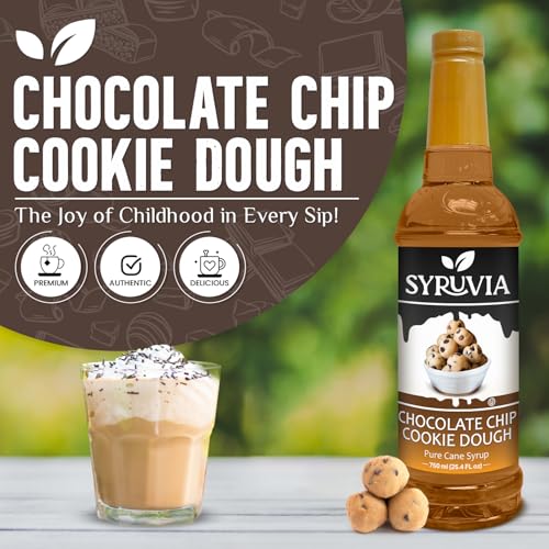 Coffee Syrup Chocolate Chip Cookie Dough Flavored Syrup for Drinks (25.4 Fl Oz)