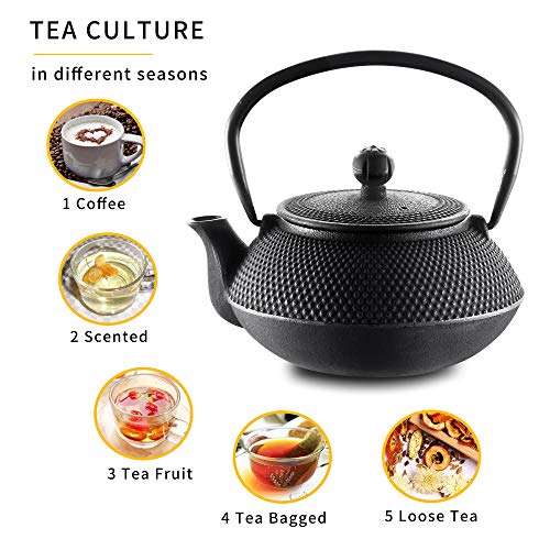 Cast Iron Teapot Set with Infuser