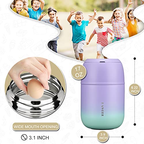 17oz Insulated Food Jar with Spoon