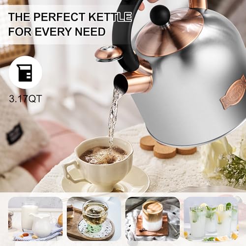 Tea Kettle 3.17QT Stainless Steel Whistling Tea Pot