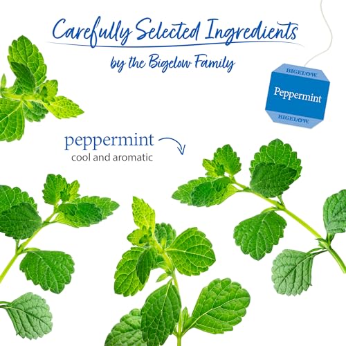 Peppermint Herbal Tea (120 Count)