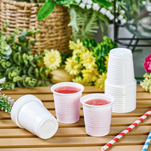 2000 Pack 3 oz Plastic Bathroom Cup (2000 Count)