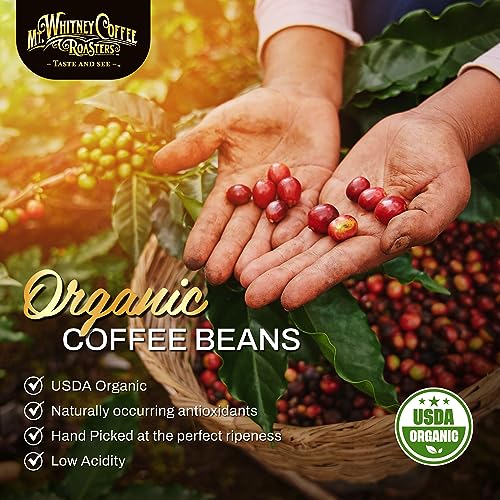 Mt. Whitney Organic Papua New Guinea (80 Ounce)