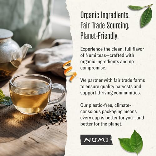 Organic Gunpowder Green Tea (54 Count)