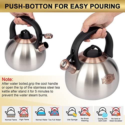 3.1 Quart Teal Whistling Tea Kettle for Stove Top