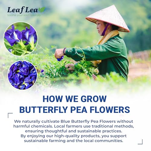 Butterfly Pea Tea Bags (80 Count)