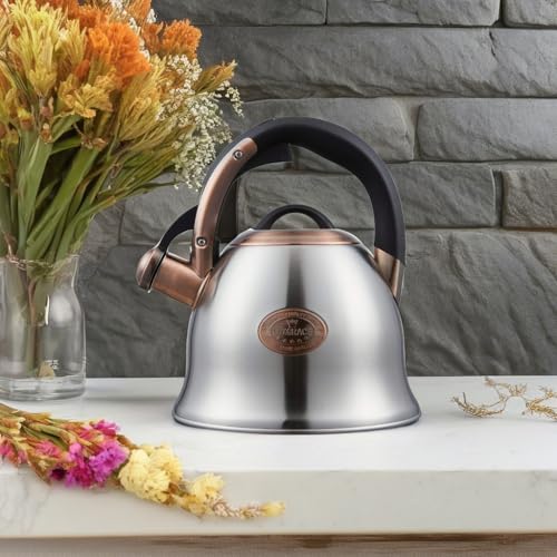 Tea Kettle 2.2 Quart Tea Kettles Stovetop Whistling Teapot Stainless Steel Tea Pots for Stove Top Whistle Tea Pot (2 Count)