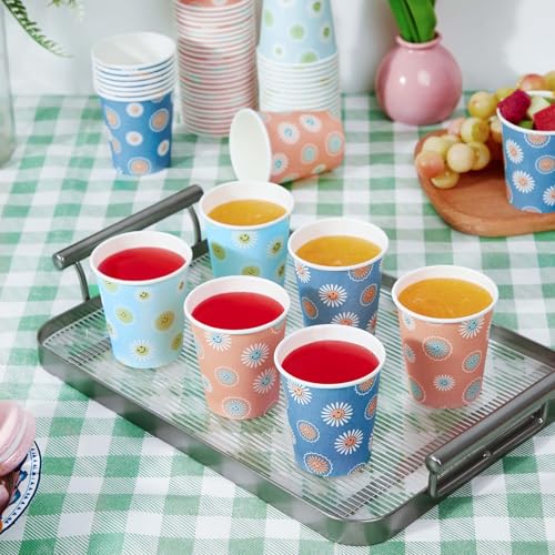 300 Pack 5 oz Paper Cups (300 Count)