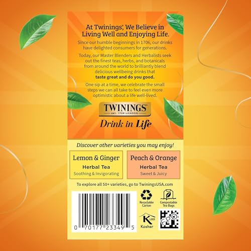 Mango & Pineapple Herbal Tea Bags (20 Count)