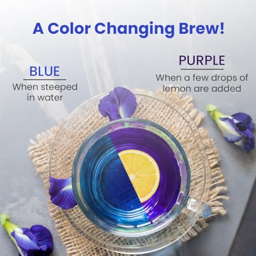 Butterfly Pea Flower Tea (10 Count)