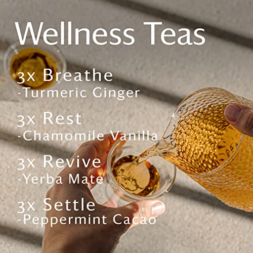 Wellness Organic Tea Blend Variety Box (12 Count)