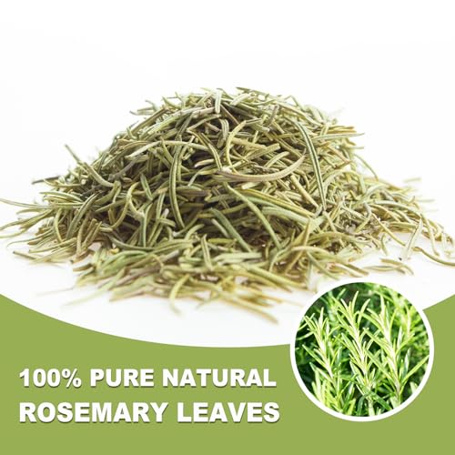 Rosemary Tea Bags (50 Count)