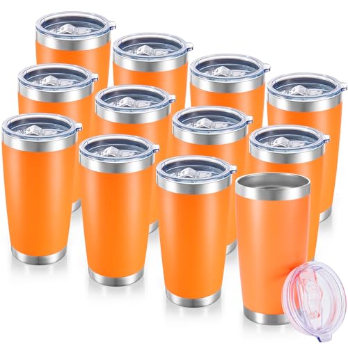20 oz Tumblers Bulk Stainless Steel Tumbler with Lid (12 Count)