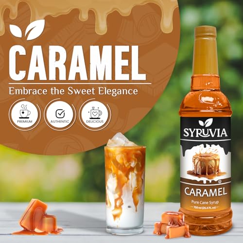 Coffee Syrup Caramel Flavored Syrup for Drinks (25.4 Fl Oz)
