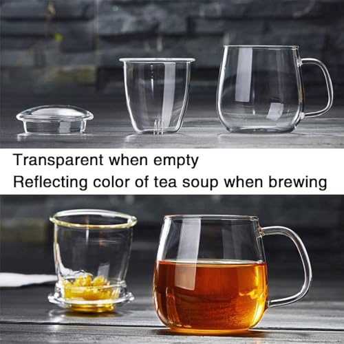 Glass Teacups 24 Pack Glass Tea Cup with Infuser and Lid (24 Count)