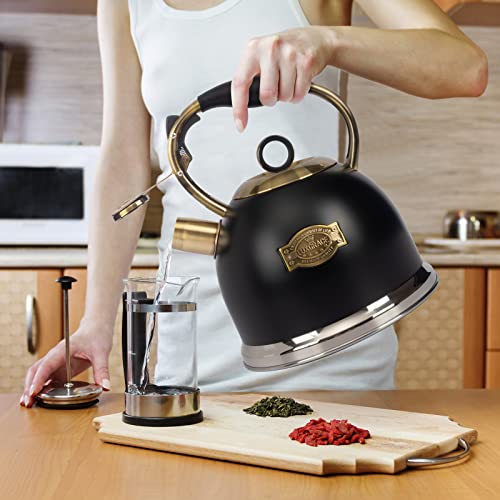 Tea Kettle 3.0 Quart Tea Kettles Stovetop Whistling Teapot Stainless Steel Tea Pots for Stove Top Whistle Tea Pot