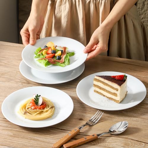 4 Piece Salad Plates Set (4 Count)