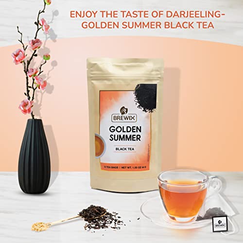 Darjeeling Golden Summer Tea From Himalayas (22 Count)