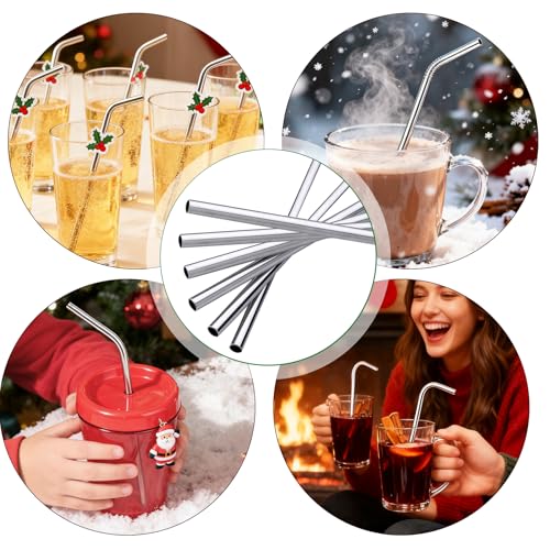 6 Pcs Reusable Stainless Steel Metal Straws & Cleaning Brush (6 Count)