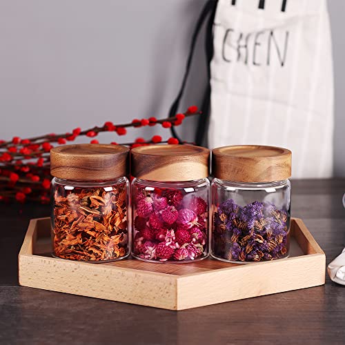 3 Packs Glass Food Storage Jars with Screw Airtight Seal Acacia Wood Lids