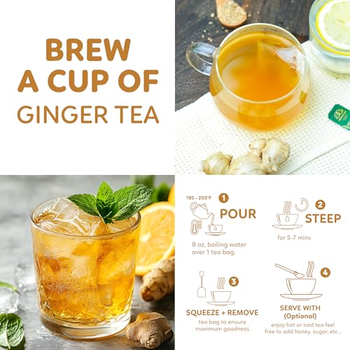 100 Ginger Tea Bags (100 Count)
