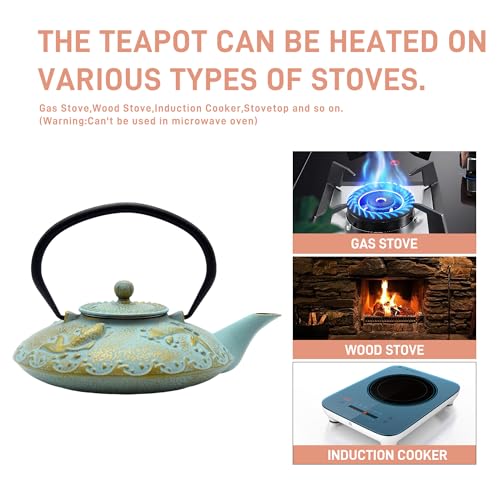 27.1oz Small Cast Iron Teapot