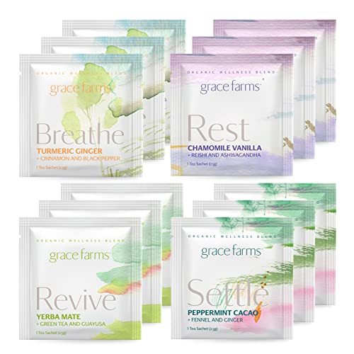 Wellness Organic Tea Blend Variety Box (12 Count)