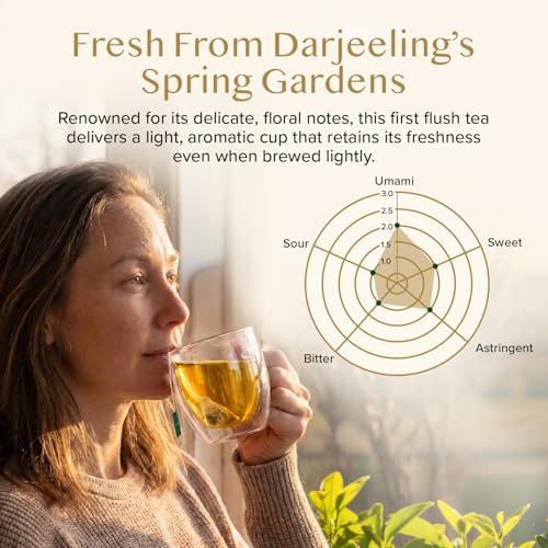 Darjeeling Spring Tea Bags (100 Count)