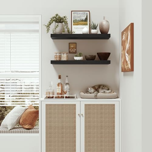 Deep Floating Shelves for Wall 24 inches Long Set of 2 (2 Count)