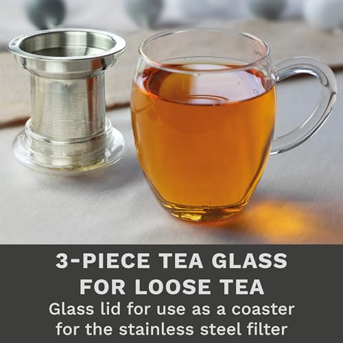 2pcs All-In-One Tea Glass with Stainless Steel Infuser and Lid - 14oz (400ml) (2 Count)