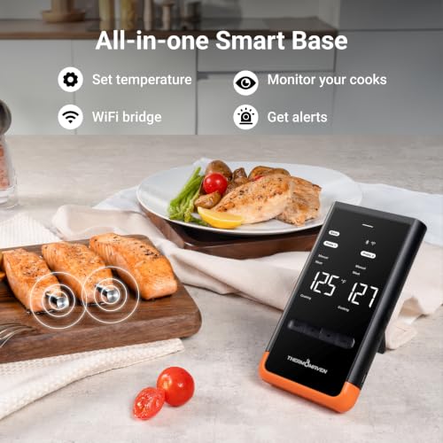 Sub 1G Wireless Meat Thermometer