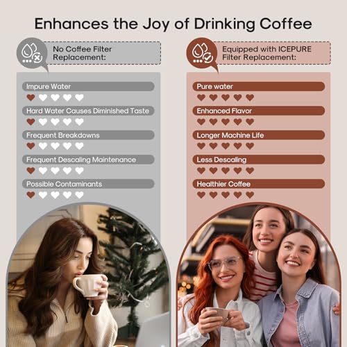 Coffee Machine Water Filter Compatible with Breville BWF100 (12 Count)