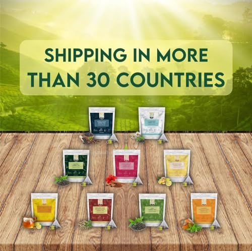 Tealeaf & Co. Honey Lemon Green Tea with Lemon & Honey Extract (50 Count)
