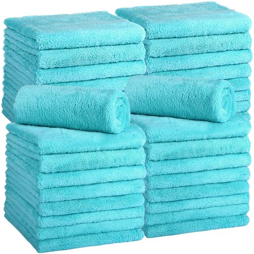 30 Pcs 16 x 16 Inch Edgeless Microfiber Plush Towels for Cars Detailing Drying Wash Polishing Absorbent Cleaning Cloths (30 Count)