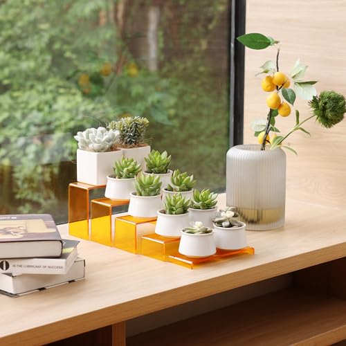 Orange Display Risers (10 Count)