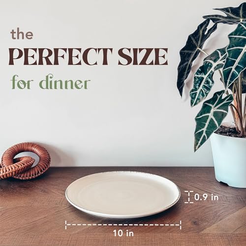 Ceramic Helix Swirl Dinner Plates Set of 6 (6 Count)