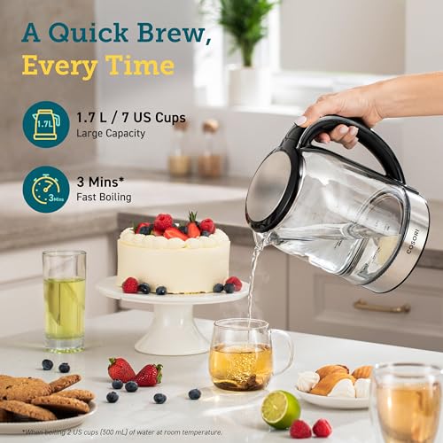 Electric Kettle with Temperature Control