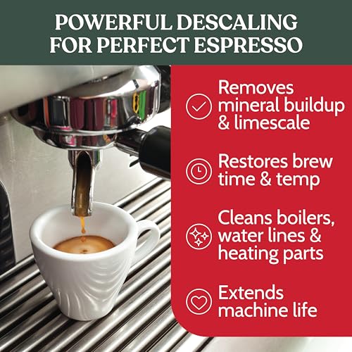 Professional Espresso Machine Descaling Powder (21.16 Ounce)