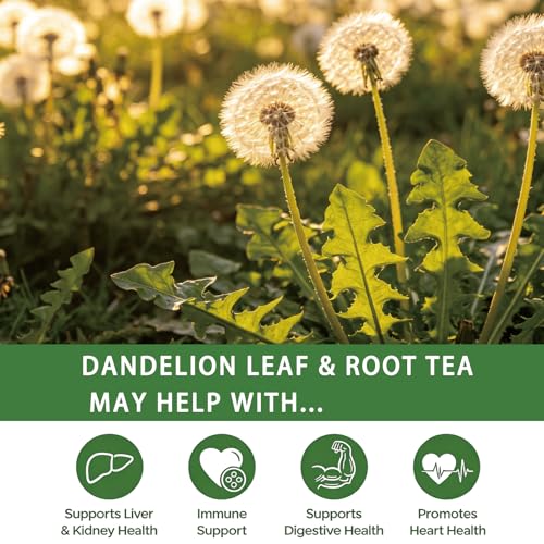 Dandelion Leaf & Root Tea Bags (50 Count)