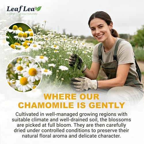 Chamomile Herbal Tea Bags (40 Count)