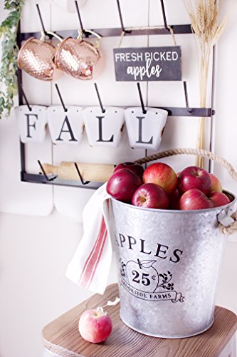 Wall Mounted Coffee Mug Rack