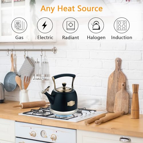 Tea Kettle Stainless Steel Teapot