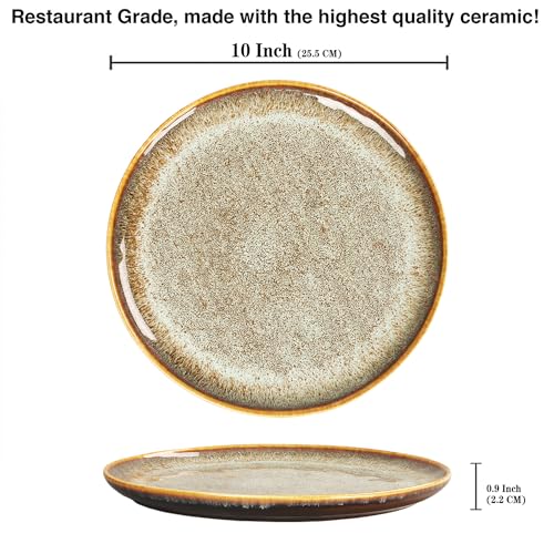 Ceramic Dinner Plates Dish Set (4 Count)