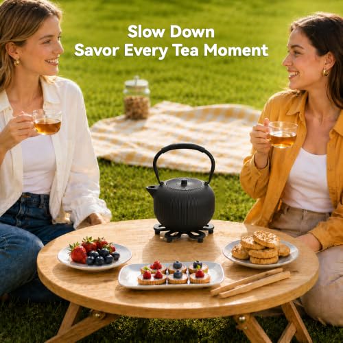 Cast Iron Teapot Set with 2 Cups