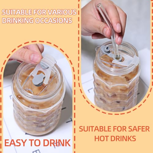 Glass Cups with Lids & Glass Straws 2PCS Set 18oz