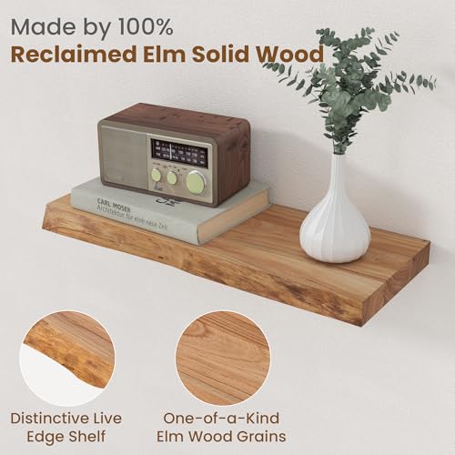 Floating Shelves for Wall Decor (2 Count)