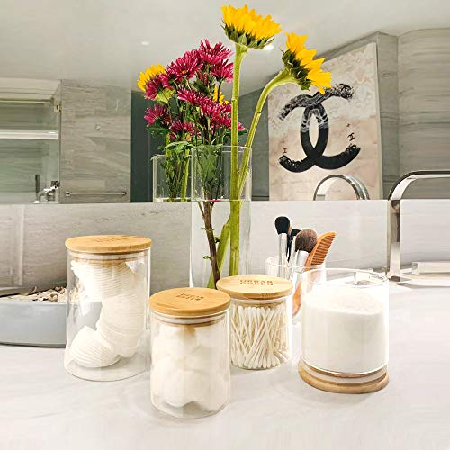 Glass Jars with Airtight Lids (6 Count)