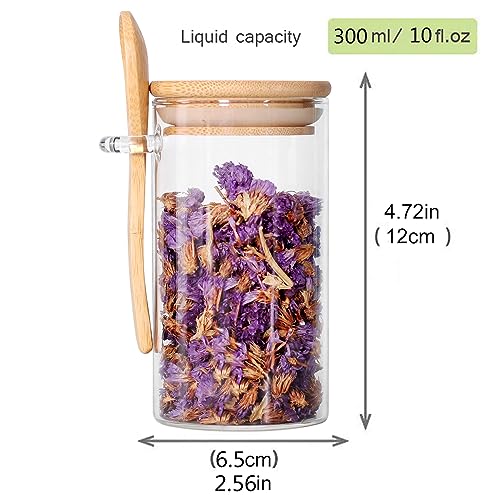 Glass Jar with Bamboo Lid and Spoon (3 Count)